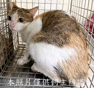 11507200013收42