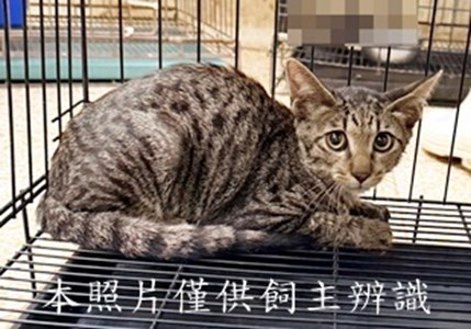 11507210007收-14