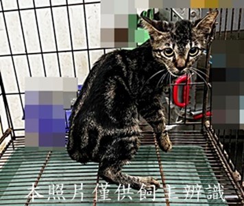 11507230005收-56
