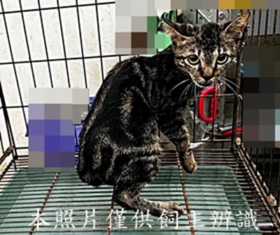 11507230005收-56