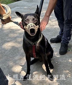 11507230006收棄