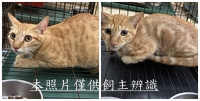 11507290029-30收