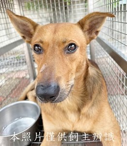 11507300004收P
