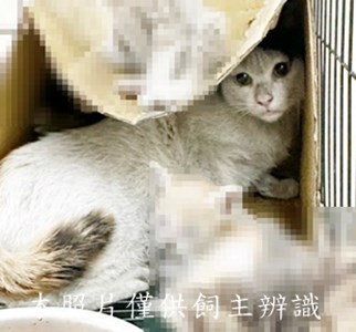11507300010收25