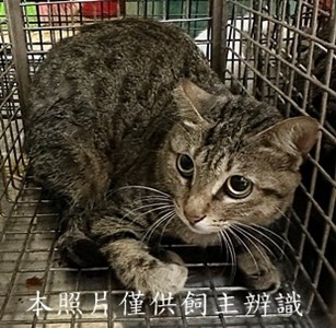 11507300011收47