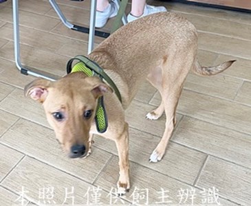 11507300016收-棄