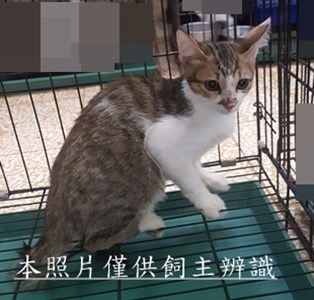 11507300020收-33