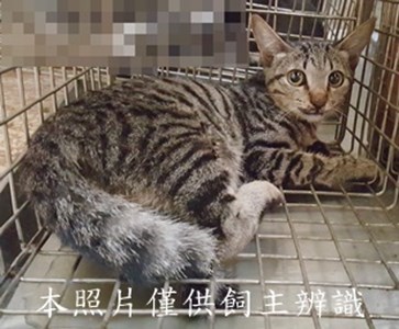 11508010001收-7