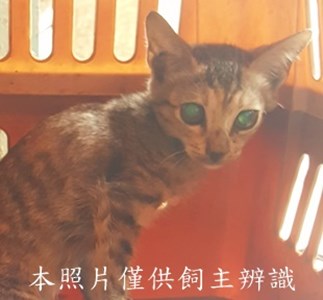 11508010002收-71