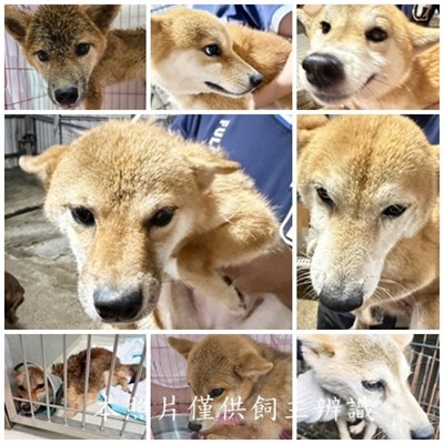11507290031-38收