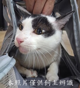 11508010008收棄