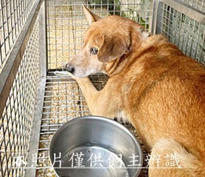 11508030001收