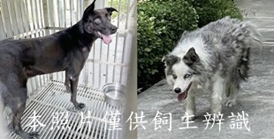11508030005-6收棄