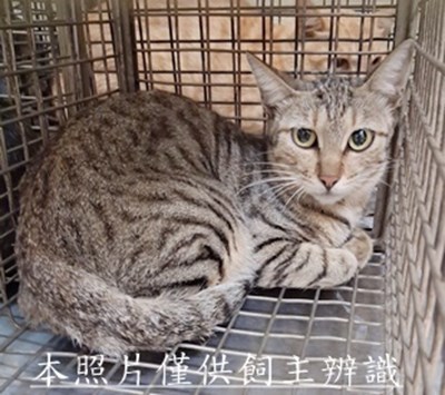11508030008收22
