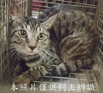 11508040001收-79