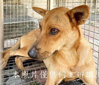 11508050001收S