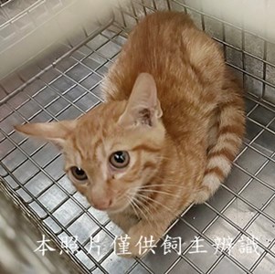 11508050006收1