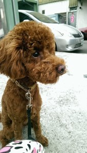 IMG_7257.jpeg