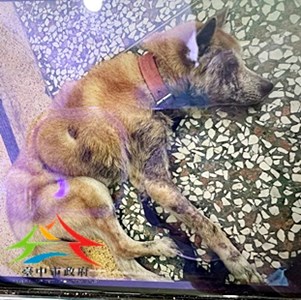 1150806棄.jpg