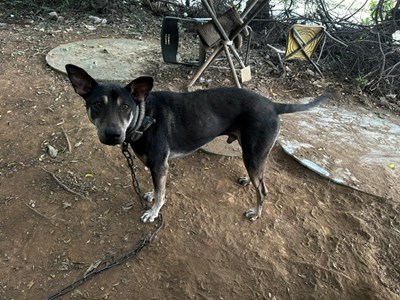 IMG_2962.jpeg