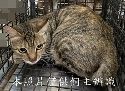 11508060009收1