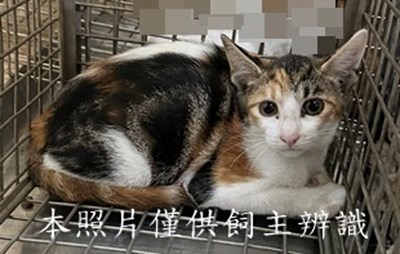 11508060010收64