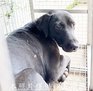 11508070002收S