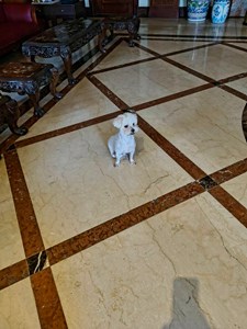 IMG_1462.jpeg