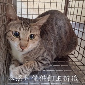 11508080002收-28
