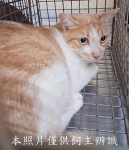 11508080004收-71