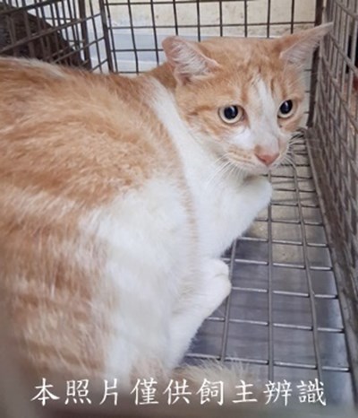 11508080004收-71