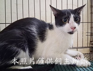 11508090001收-13