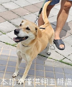 11508106005_4F13棄養
