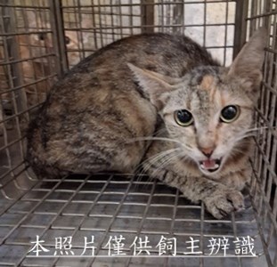 11508110001收-1
