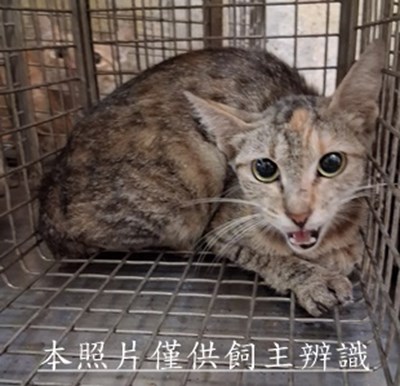 11508110001收-1