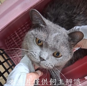 11508110009收棄