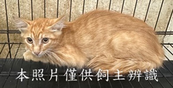 11508110011收2