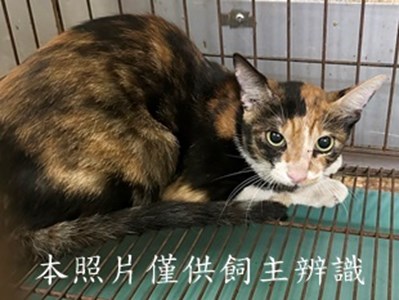 11508110018收16