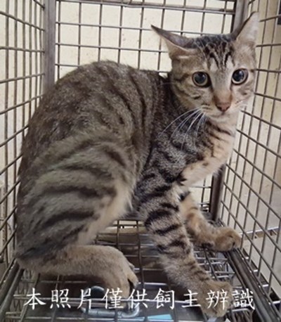 11508120001收-26