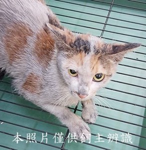11508120006收-77
