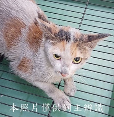 11508120006收-77
