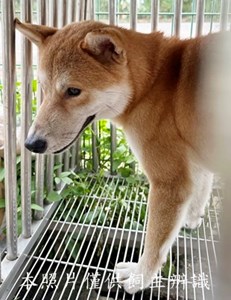 11508130001收X