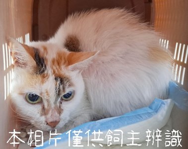 11508136008_3-11動保