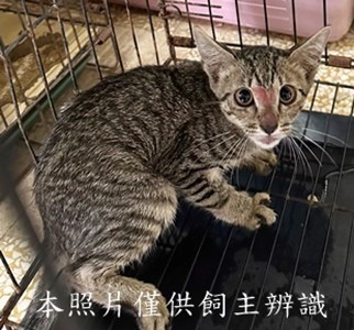 11508150002收11