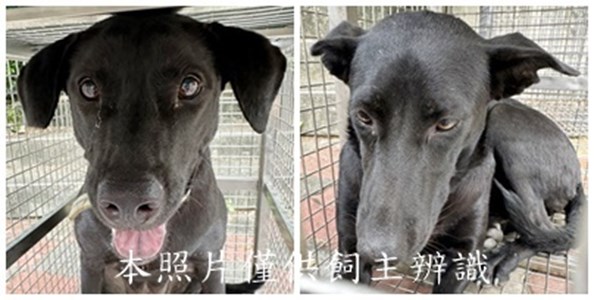 11508150004-5收
