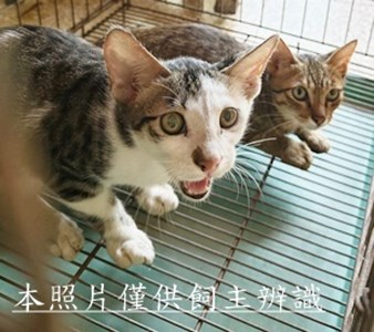 11508160004-5收49