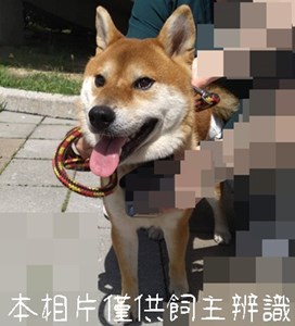 11508176001_
