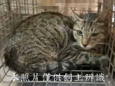 11508190001收66