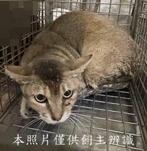 11508190004收62