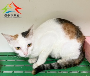 動物編號:S__56008710